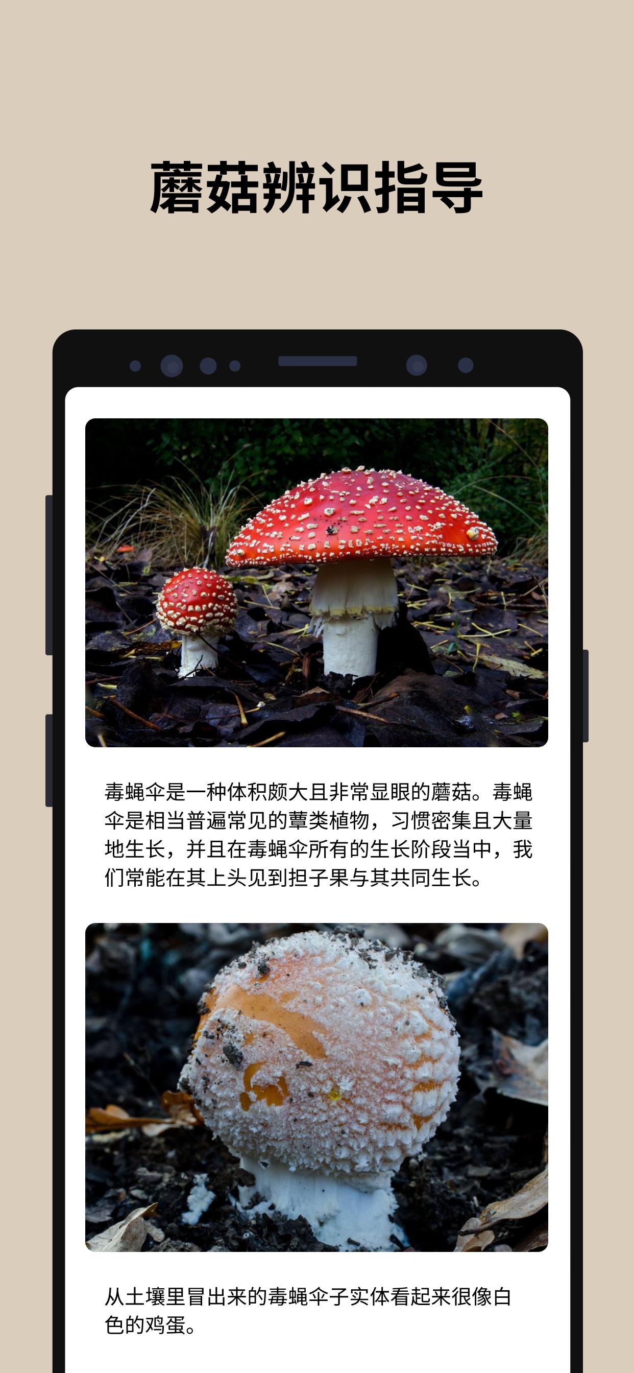 蘑菇識別軟件下載-蘑菇識別(picturemushroom)最新版v2.8.4_速遊網