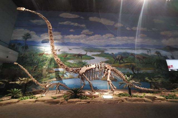 恐龙博物馆经营游戏