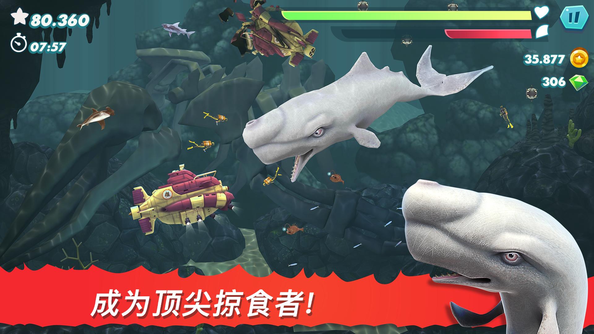 饥饿鲨进化(Hungry Shark)国际服正版下载安装