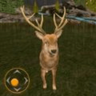猎鹿游戏枪战游戏官方版