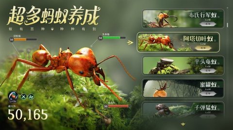 小小蚁国真实蚂蚁世界游戏官方正版