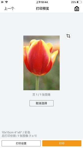 canon printapp手机版v2.8.4